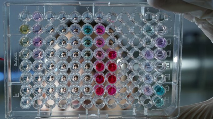 A researcher holds a so-called microtiter plate