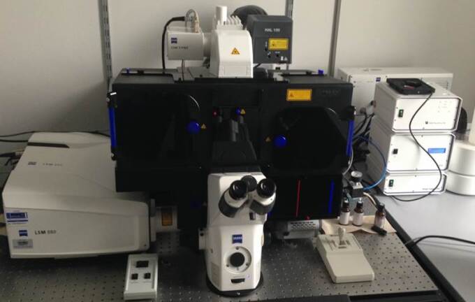 Konfokales Laserscanningmikroskop